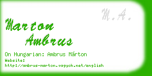 marton ambrus business card