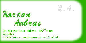 marton ambrus business card